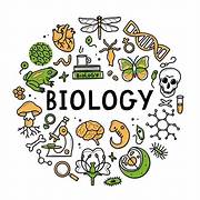 Biologi  XII (13)